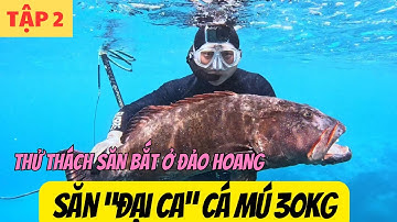 Khám phá Vanuatu Tập 2: Truy Lùng "Đại Ca" Cá Mú 30kg và Đánh Bắt Tôm Hùm Khủng Ở Đảo Motolava