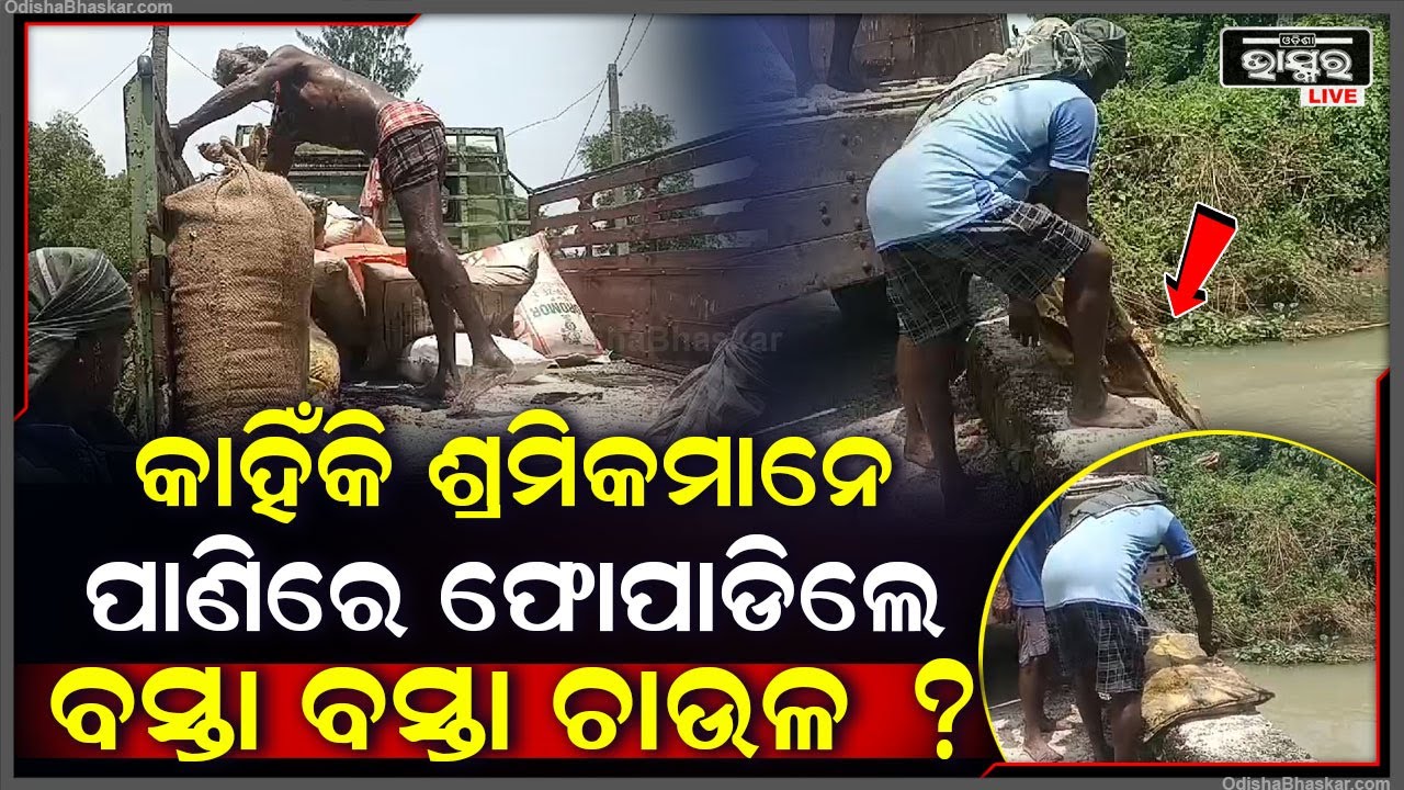 କାହିଁକି ଶ୍ରମିକ ମାନେ ପାଣିକୁ ଫୋପାଡ଼ିଦେଲେ କୁଇଣ୍ଟାଲ କୁଇଣ୍ଟାଲ ଅରୁଆ ଚାଉଳ