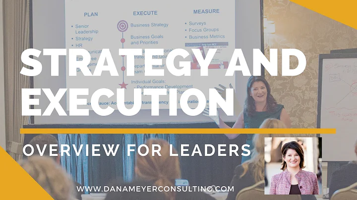 Strategy & Execution - Dana Meyer Consulting