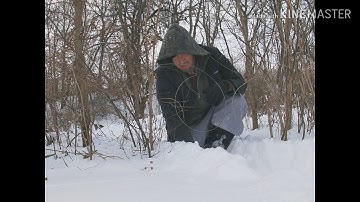 Basic snaring-Coyote trapping