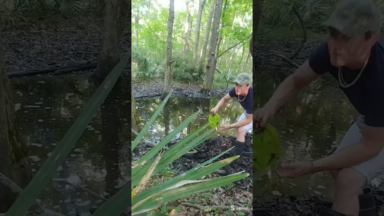 Lost Disc Golf Hunting Retrieving In Water Hazard Related Disc Golf Activities 