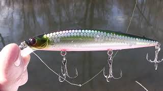 :  TsuYoki PARTNER 110SP    !     !