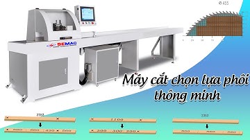 Máy cưa cắt khuyết tật gỗ cnc | Máy cắt chọn lựa phôi thông minh | Quốc Duy