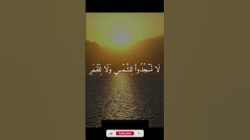 ومن آياته الليل والنهار والشمس والقمر