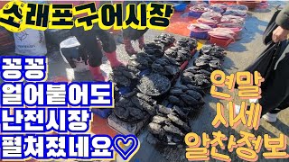 소래포구 어시장 연말 수산물시세, 각종 활어/선어 최신시세♡삶1098/Sorae port fish market, korea