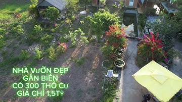 NHÀ VƯỜN ĐẸP GẦN BIỂN PHAN THIẾT BÌNH THUẬN CÓ 300ThỔ CƯ GIÁ CHỈ 1,5TỶ. Đã bán