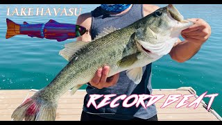 Lake Havasu 2022! I beat my RECORD BASS!