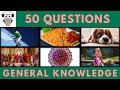 General Knowledge Quiz Trivia #192 | Rafael Nadal, Fried Rice, Dog Claw, Ebola, Rapunzel