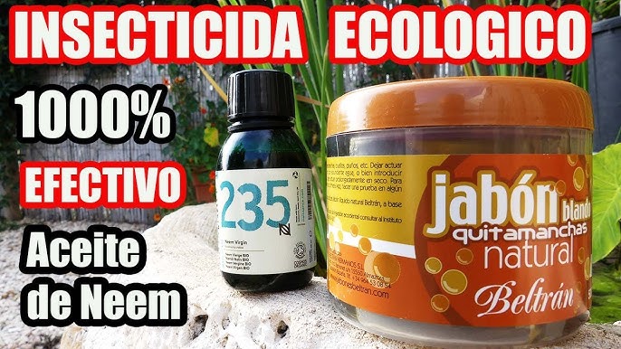 Controla las plagas con jabon potásico y aceite de neem 