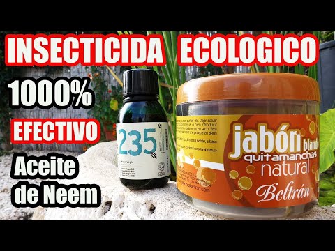 INSECTICIDA Natural con ACEITE de NEEM y JABON POTASICO