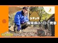 【クオッカクエスト】クオッカキーパーの1日◆PM