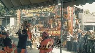 Story wa bantengan keren