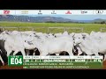LOTE E04