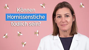 Sind 3 Hornissenstiche tödlich?