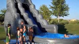 Inflatable Dolphin Water Slide - Az Bounce Pro - Phoenix, Arizona