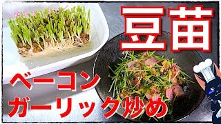 【糖質制限レシピ】酒の肴に最高！「豆苗とベーコンのガーリック炒め」の作り方【低糖質】Low Car Bean-Seedlings Recipe