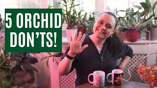 Top 5 don’ts when growing orchids 🌸 (Stop killing your orchid!)
