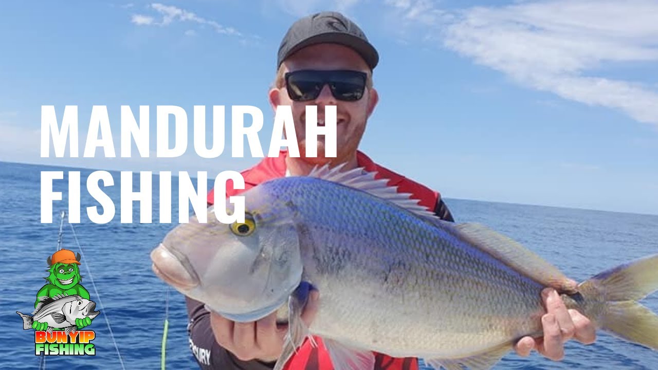 Mandurah fishing Queen Snapper, big king whiting, Big pod of