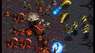 EARLY REAVER! - Effort 🇰🇷 (Z) vs Mini 🇰🇷 (P) on Metaverse - StarCraft - Brood War REMASTERED
