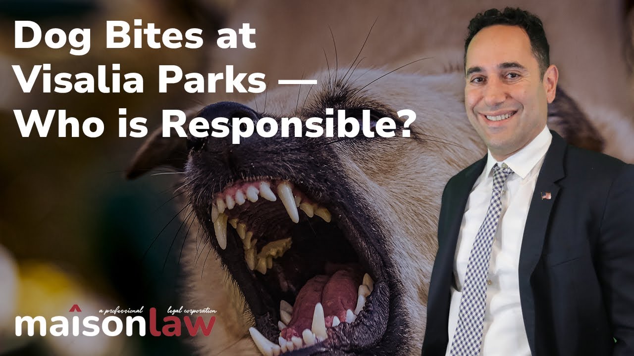 Dog Bites at Visalia Parks Who is Responsible? YouTube