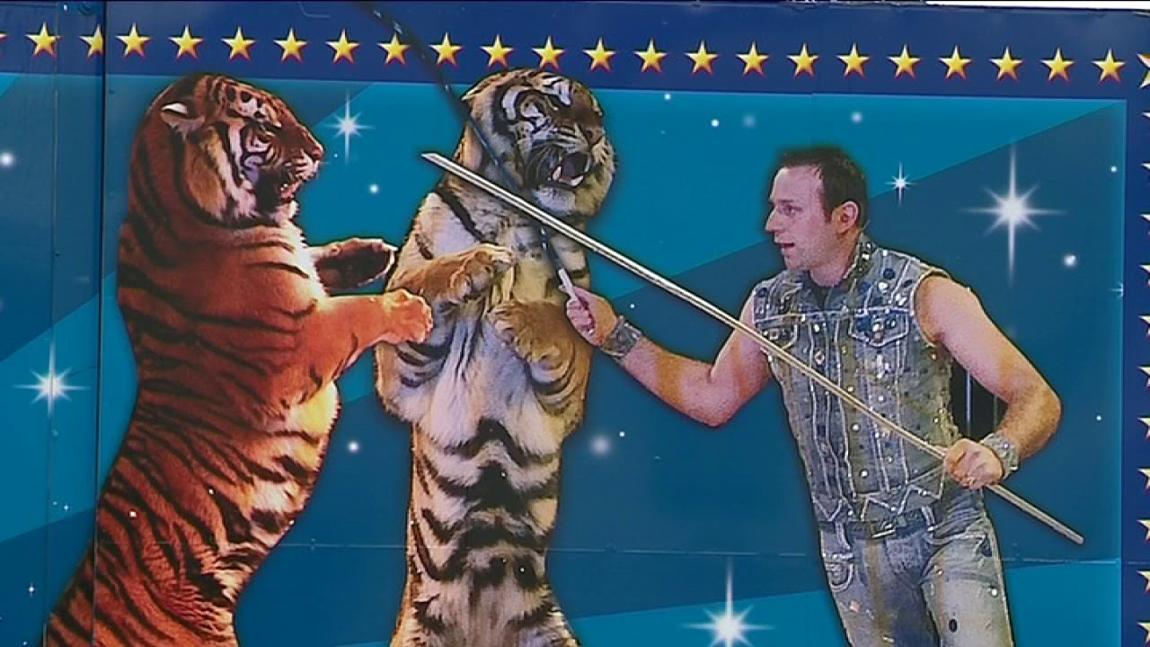 Avallon : pourquoi le cirque de Rome a-t-il menti à la commune ?