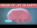 How did LIFE begin on earth?