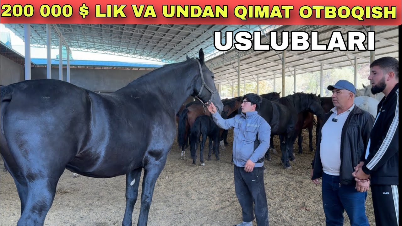 200 000 $ LIK OT BOQISH VA KO'PAYTIRISH USLUBLARI