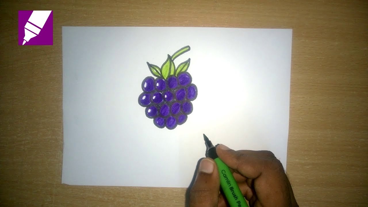 How to draw Kawaii cute BLACKBERRY Fruit l Como desenhar Fruta AMORA fofa  Kawaii - Drawing to Draw 