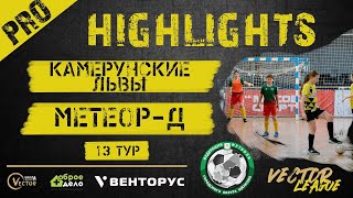 Обзор матча Yellow  League.Pro УСК "Подмосковье", 05.05.24 Камерунские Львы - Метеор -Д