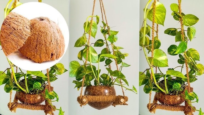 Easy, Cheap, and DIY-able Coconut Shell Planters, by Barbulianno Design