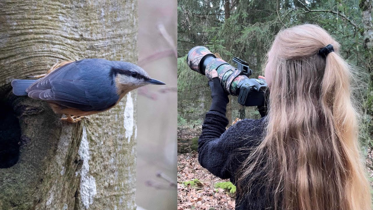 BIRD TALK // CANON R7 // WILDLIFE PHOTOGRAPHY