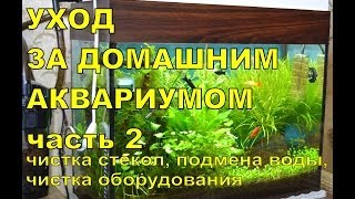 Аквариум для начинающих. Уход за аквариумом. часть 2 Аквариум для начинающих. Уход за аквариумом. часть 2
