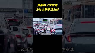 成都的公交车道为什么秩序这么好？