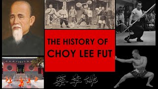 The History of Choy Lee Fut   Kung Fu Report  Adam Chan