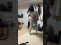家事を手伝わない旦那はこうあるべき!! #夫婦 #家事 #旦那