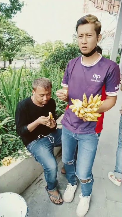 mangku purel , purele gatel