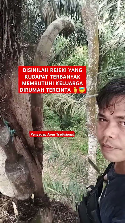SUMBER REJEKI PALING ISTIMEWA YANG KUDAPAT ❤️🫰😇 ||POHON AREN #pohonrejeki #pohonduit #pohonberkah