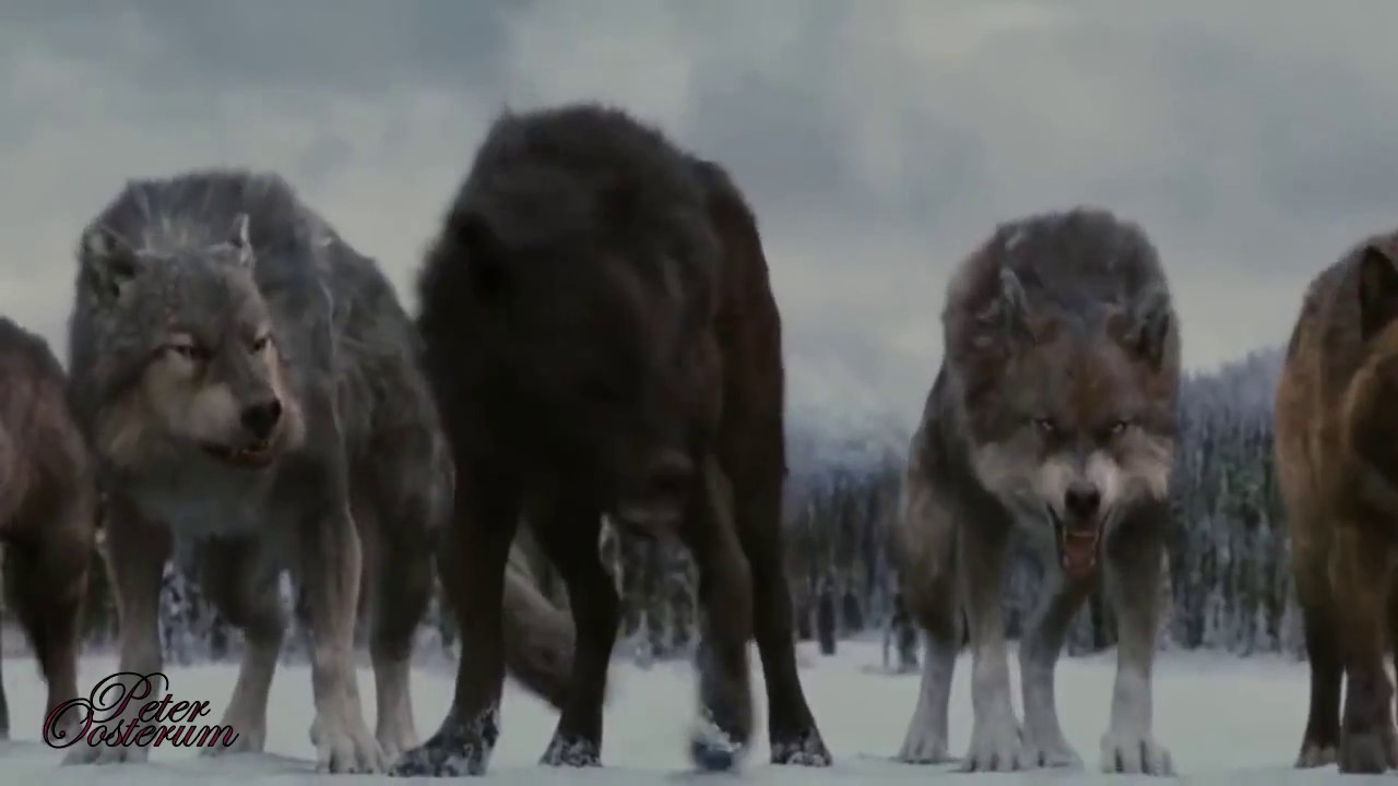 Adrian Von Ziegler Wolf Blood
