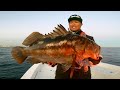 Fishing from catalina island to long beach catch clean and cook