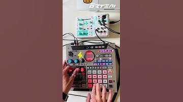 Jungle Scratch | Roland SP-555