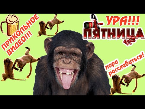 С ПЯТНИЦЕЙ! Прикольное Видео! Классных выходных! Друзьям с пятницей/Песня с пятницей 2022
