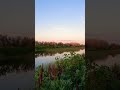 It's just Miyaly, Kazakhstan
