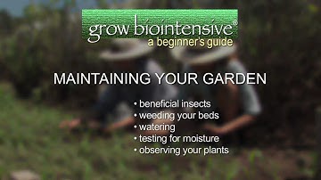 Session 9: GROW BIOINTENSIVE: A Beginner