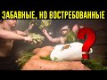 10 НЕОБЫЧНЫХ, Но ПОЛЕЗНЫХ Услуг, Про Которые Мало Кто Знает!