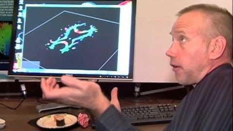 Demonstration: Scientific Computing and Visualization for Medical Image Analysis