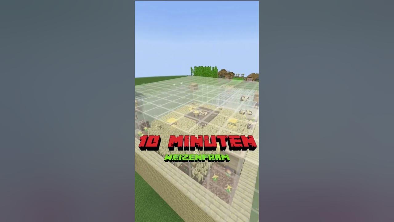 minecraft-weizenfarm-1-min-vs-5-min-vs-10-min-shorts-shortvideo-youtube