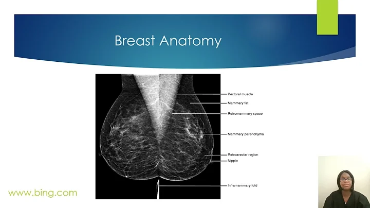 Mammography Registry Review Study Guide: Procedures in Mammography. (Anatomy & Pathology)