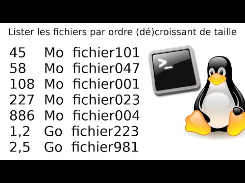 Vidéo: Comment exécuter plusieurs serveurs de terminaux sur une seule adresse IP