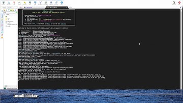 Starting node Moonbeam on a hetzner vps using docker