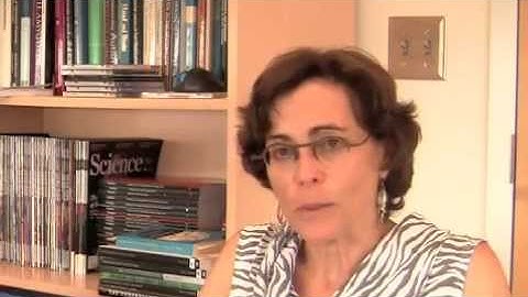 Center for the Neural Basis of Cognition Celebrates 20 Years